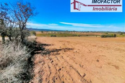 Helårsgrund i Perais, Castelo Branco, Perais - € 37.000 | Ref: 21-11755 - foto 14