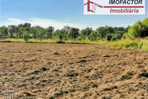 Helårsgrund i Perais, Castelo Branco, Perais - € 37.000 | Ref: 21-11755 - foto 15