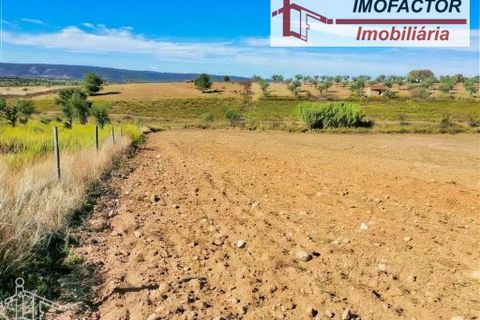 Helårsgrund i Perais, Castelo Branco, Perais - € 37.000 | Ref: 21-11755 - foto 16