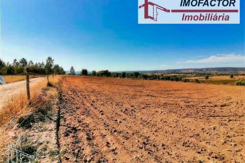 Helårsgrund i Perais, Castelo Branco, Perais - € 37.000 | Ref: 21-11755 - foto 17