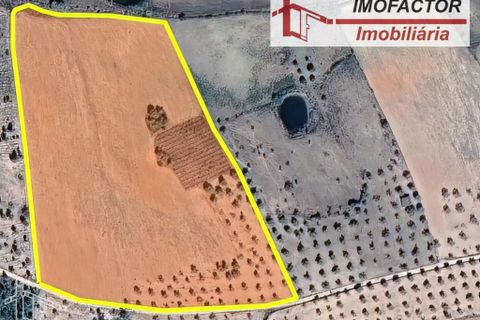 Helårsgrund i Perais, Castelo Branco, Perais - € 37.000 | Ref: 21-11755 - foto 18