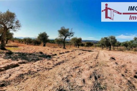 Helårsgrund i Perais, Castelo Branco, Perais - € 37.000 | Ref: 21-11755 - foto 20