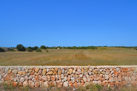Finca i Manacor, Mallorca, Manacor - € 1.700.000 | Ref: 79420 - foto 2
