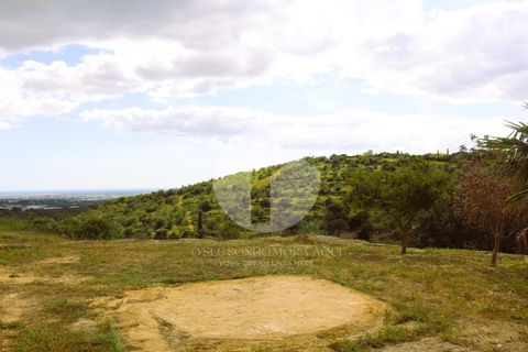 Villa i Estoi, Faro, Estoi - € 439.000 | Ref: 360P-1381 - foto 5