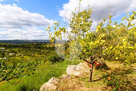 Villa i Estoi, Faro, Estoi - € 439.000 | Ref: 360P-1381 - foto 20