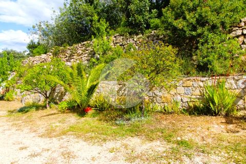 Villa i Estoi, Faro, Estoi - € 439.000 | Ref: 360P-1381 - foto 22