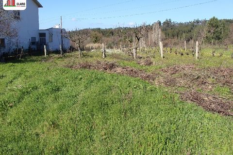 Helårsgrund i Soure, Coimbra, Soure - € 25.000 | Ref: DB3166 - foto 3
