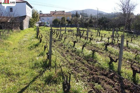 Helårsgrund i Soure, Coimbra, Soure - € 25.000 | Ref: DB3166 - foto 5