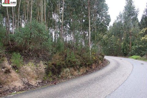 Helårsgrund i Coimbra, Coimbra, Coimbra - € 120.000 | Ref: DB3195 - foto 2