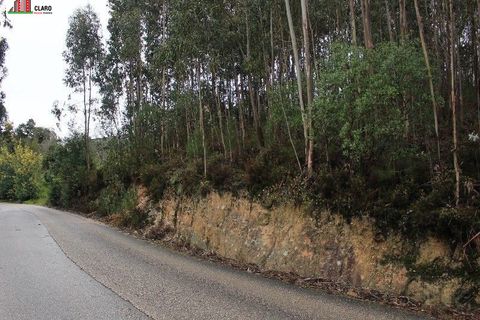 Helårsgrund i Coimbra, Coimbra, Coimbra - € 120.000 | Ref: DB3195 - foto 4
