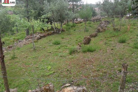 Helårsgrund i Coimbra, Coimbra, Coimbra - € 75.000 | Ref: MR3281 - foto 1