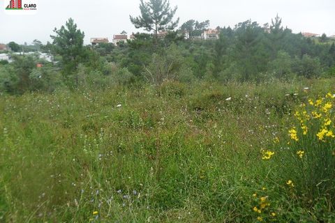 Helårsgrund i Coimbra, Coimbra, Coimbra - € 75.000 | Ref: MR3281 - foto 4