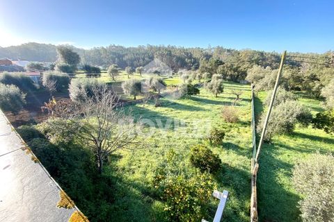 Villa i Pombal, Leiria, Pombal - € 300.000 | Ref: 4318 - foto 6