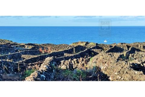 Helårsgrund i Candelaria, Pico, Candelaria - € 620.000 | Ref: 3946 - foto 6