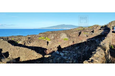 Helårsgrund i Candelaria, Pico, Candelaria - € 620.000 | Ref: 3946 - foto 7