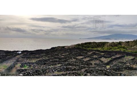 Helårsgrund i Candelaria, Pico, Candelaria - € 620.000 | Ref: 3946 - foto 9