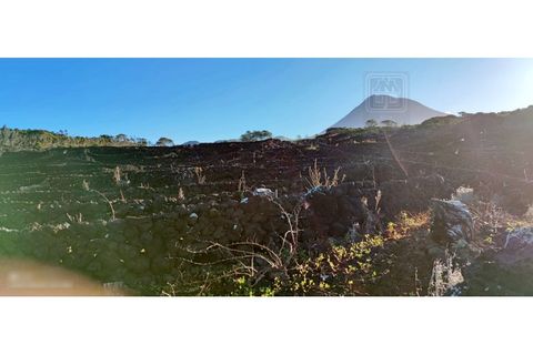 Helårsgrund i Candelaria, Pico, Candelaria - € 620.000 | Ref: 3946 - foto 11