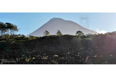 Helårsgrund i Candelaria, Pico, Candelaria - € 620.000 | Ref: 3946 - foto 12