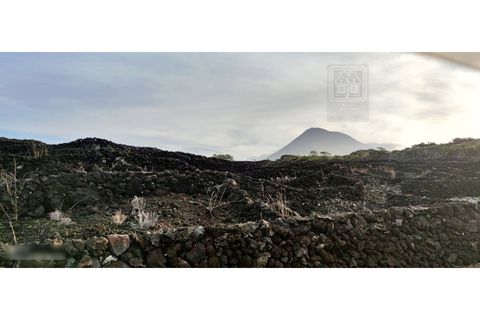 Helårsgrund i Candelaria, Pico, Candelaria - € 620.000 | Ref: 3946 - foto 14