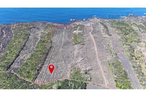 Helårsgrund i Candelaria, Pico, Candelaria - € 620.000 | Ref: 3946 - foto 1
