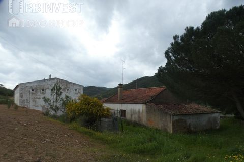 Farm i Monchique, Faro, Monchique - € 930.000 | Ref: AR00436 - PT - foto 5