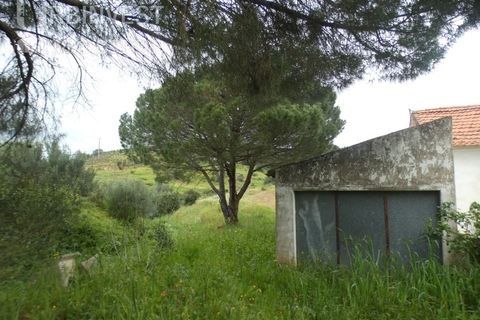 Farm i Monchique, Faro, Monchique - € 930.000 | Ref: AR00436 - PT - foto 8
