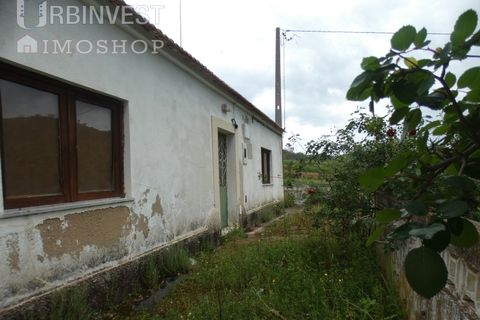 Farm i Monchique, Faro, Monchique - € 930.000 | Ref: AR00436 - PT - foto 9