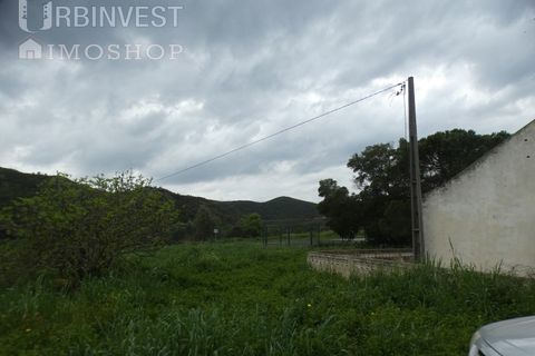 Farm i Monchique, Faro, Monchique - € 930.000 | Ref: AR00436 - PT - foto 11