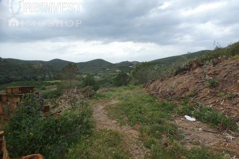 Farm i Monchique, Faro, Monchique - € 930.000 | Ref: AR00436 - PT - foto 17