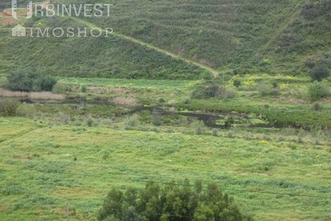 Farm i Monchique, Faro, Monchique - € 930.000 | Ref: AR00436 - PT - foto 21