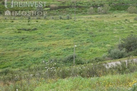Farm i Monchique, Faro, Monchique - € 930.000 | Ref: AR00436 - PT - foto 22