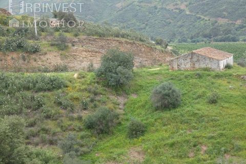 Farm i Monchique, Faro, Monchique - € 930.000 | Ref: AR00436 - PT - foto 24