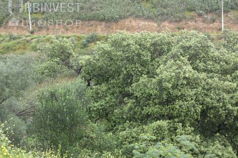 Farm i Monchique, Faro, Monchique - € 930.000 | Ref: AR00436 - PT - foto 25