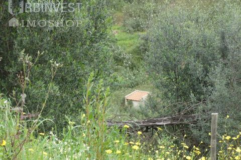 Farm i Monchique, Faro, Monchique - € 930.000 | Ref: AR00436 - PT - foto 26