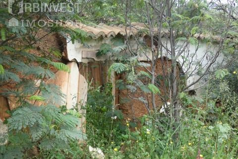 Farm i Monchique, Faro, Monchique - € 930.000 | Ref: AR00436 - PT - foto 27