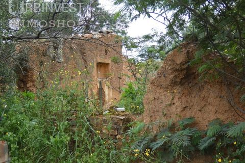 Farm i Monchique, Faro, Monchique - € 930.000 | Ref: AR00436 - PT - foto 28