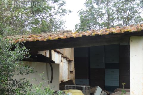 Farm i Monchique, Faro, Monchique - € 930.000 | Ref: AR00436 - PT - foto 29
