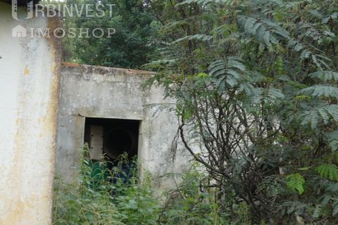 Farm i Monchique, Faro, Monchique - € 930.000 | Ref: AR00436 - PT - foto 30