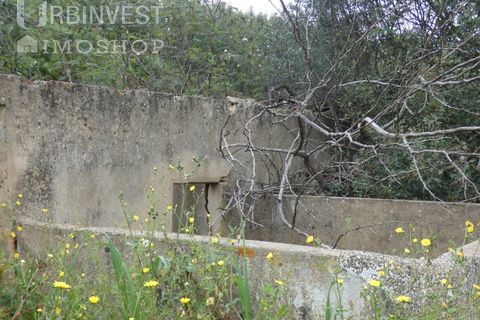 Farm i Monchique, Faro, Monchique - € 930.000 | Ref: AR00436 - PT - foto 31