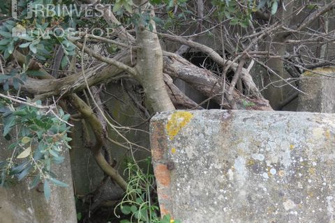 Farm i Monchique, Faro, Monchique - € 930.000 | Ref: AR00436 - PT - foto 33