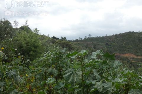Farm i Monchique, Faro, Monchique - € 930.000 | Ref: AR00436 - PT - foto 35