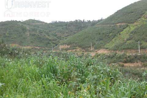 Farm i Monchique, Faro, Monchique - € 930.000 | Ref: AR00436 - PT - foto 36