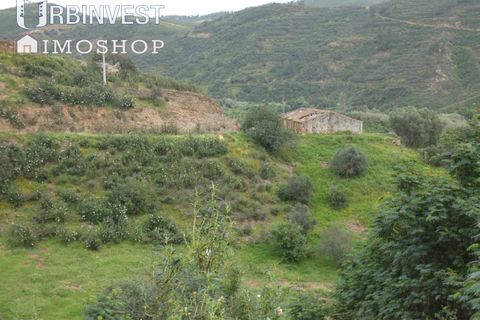 Farm i Monchique, Faro, Monchique - € 930.000 | Ref: AR00436 - PT - foto 37