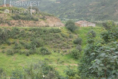 Farm i Monchique, Faro, Monchique - € 930.000 | Ref: AR00436 - PT - foto 38