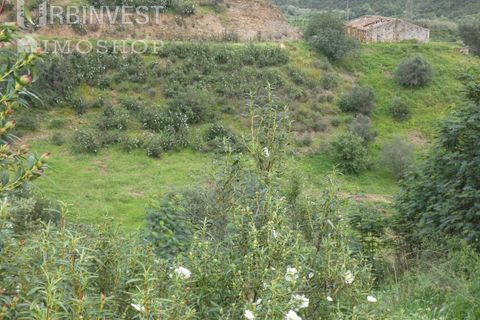 Farm i Monchique, Faro, Monchique - € 930.000 | Ref: AR00436 - PT - foto 39