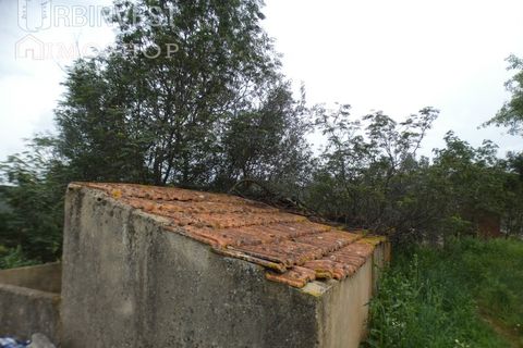 Farm i Monchique, Faro, Monchique - € 930.000 | Ref: AR00436 - PT - foto 42