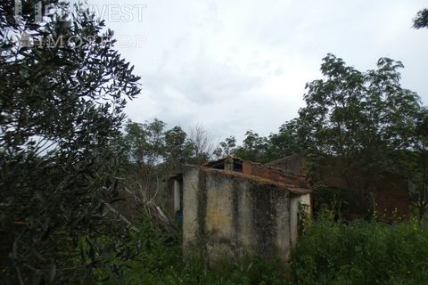 Farm i Monchique, Faro, Monchique - € 930.000 | Ref: AR00436 - PT - foto 43