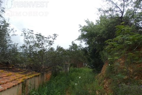 Farm i Monchique, Faro, Monchique - € 930.000 | Ref: AR00436 - PT - foto 44
