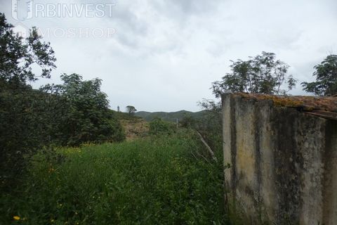 Farm i Monchique, Faro, Monchique - € 930.000 | Ref: AR00436 - PT - foto 45