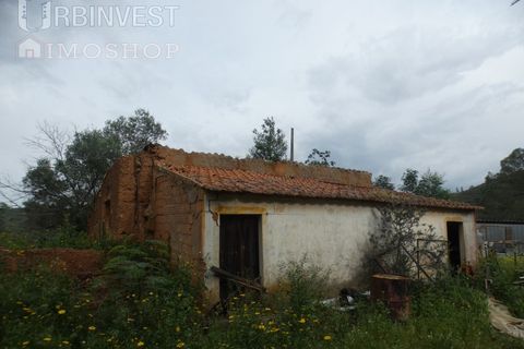 Farm i Monchique, Faro, Monchique - € 930.000 | Ref: AR00436 - PT - foto 46